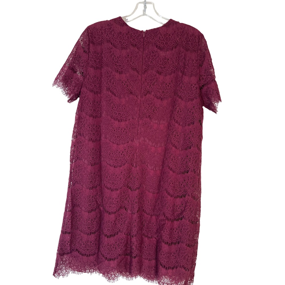 Lulus Lace Dress‎ Women XL Burgundy New NWT Short Sleeve Floral Shift Mini - Picture 5 of 9